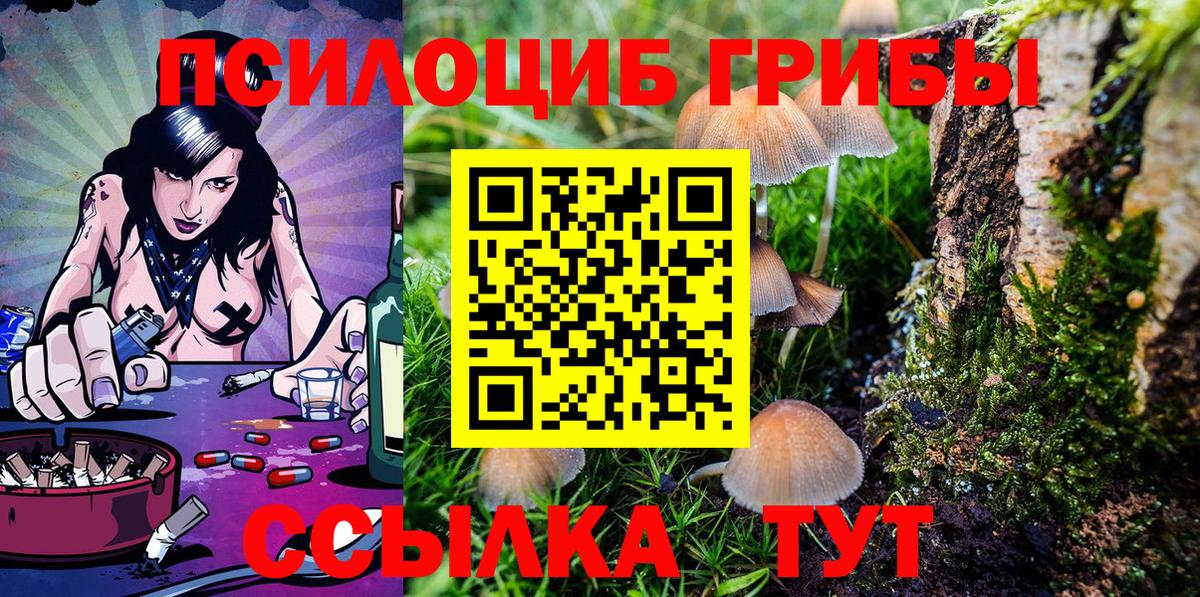Морозовск  Псилоцибиновые грибы Psilocybine cubensis  Вход с VPN  Псилоцибиновые грибы Cubensis 