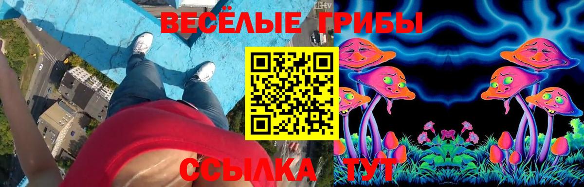Псилоцибиновые грибы Cubensis Морозовск
